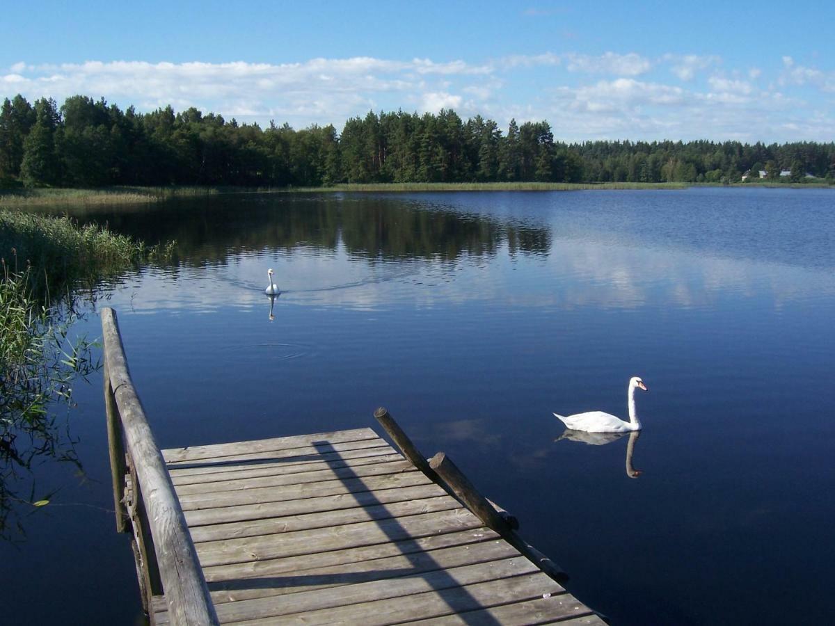 Domwigierski Pl -Jeziorki -Gr- Comfort-Ferienhaus-Polen - Wlasna Linia Brzegowa I Sauna Wysoki Most  Eksteriør bilde