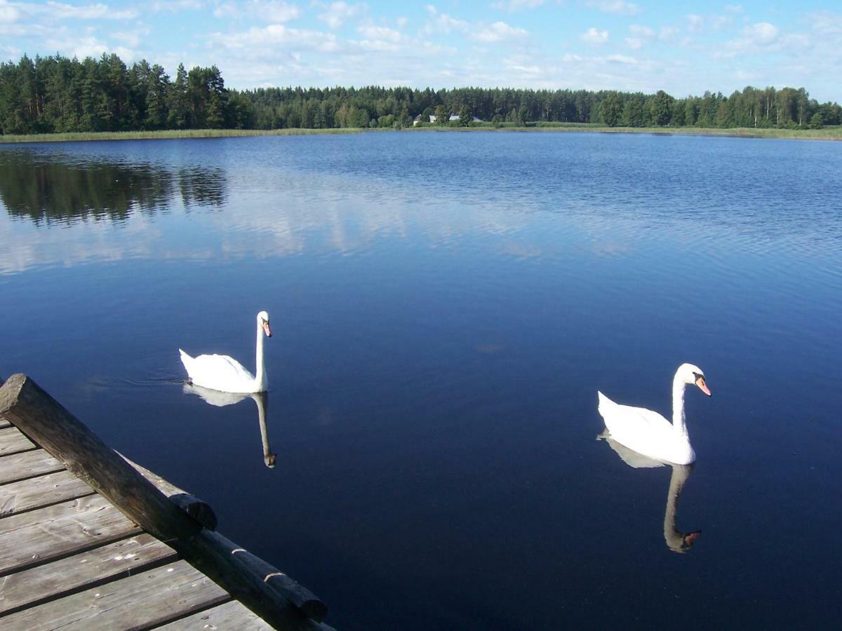 Domwigierski Pl -Jeziorki -Gr- Comfort-Ferienhaus-Polen - Wlasna Linia Brzegowa I Sauna Wysoki Most  Eksteriør bilde